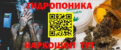 apvp Лесосибирск