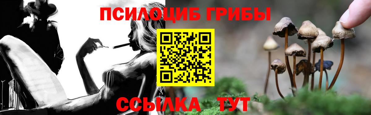 где можно купить наркотик  Вход с VPN  Губкин  Галлюциногенные грибы мицелий 