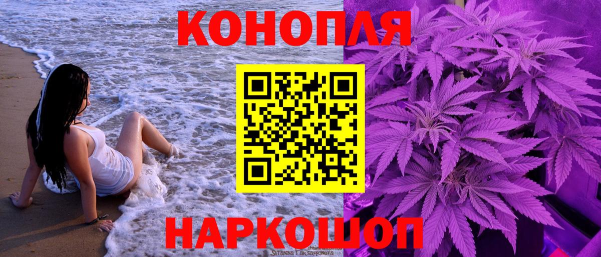 Бошки Шишки семена Губкин